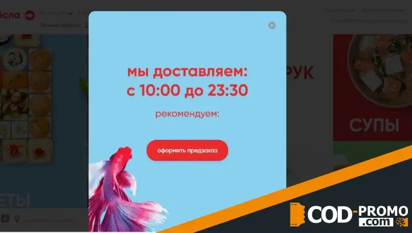 Сушивёсла промокод на все наборы