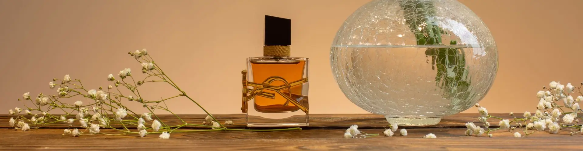 Pompadoo промокод