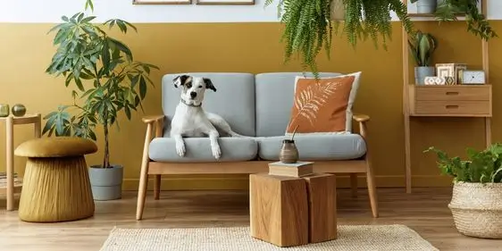 Промокод ОМА