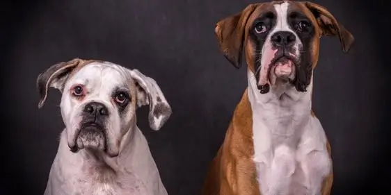 Промокод Лемур