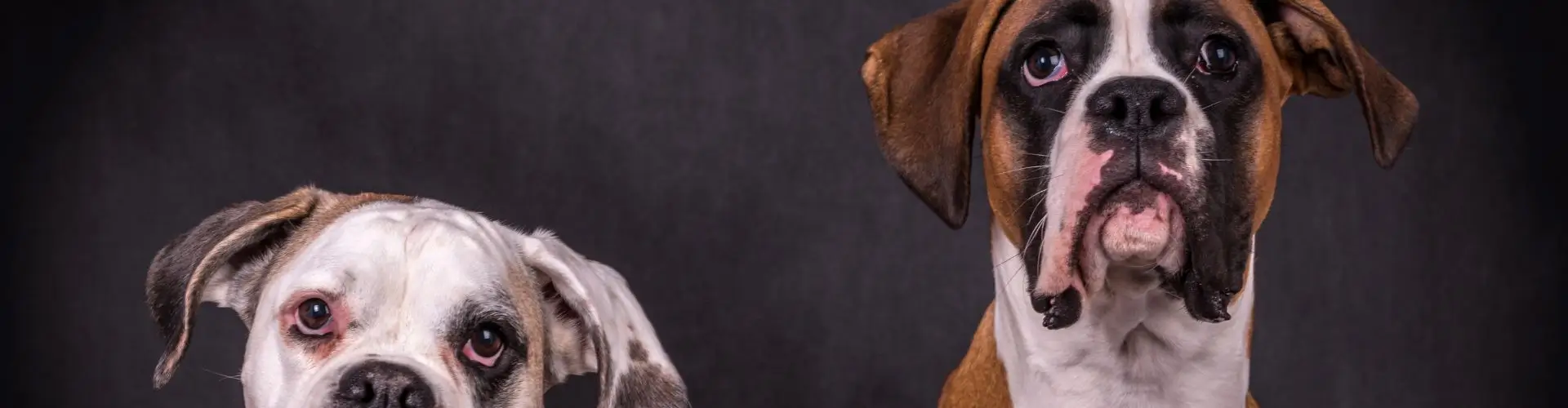 Промокод Лемур