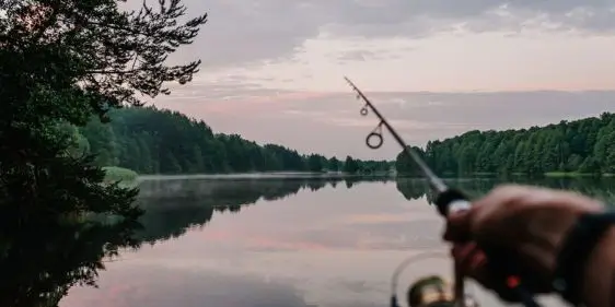 Tрофей промокод