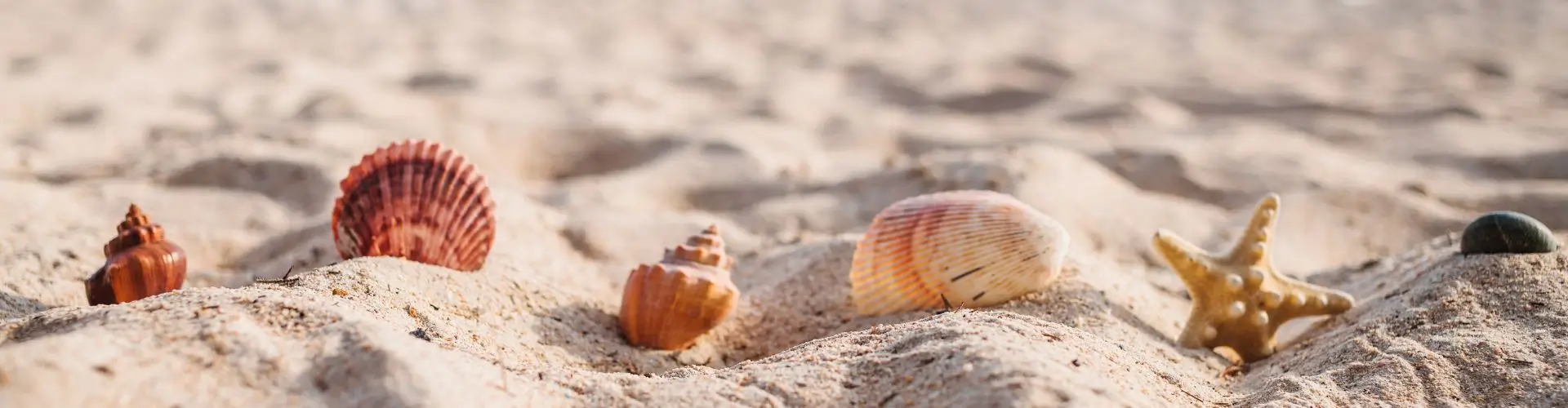 Мультитур промокод