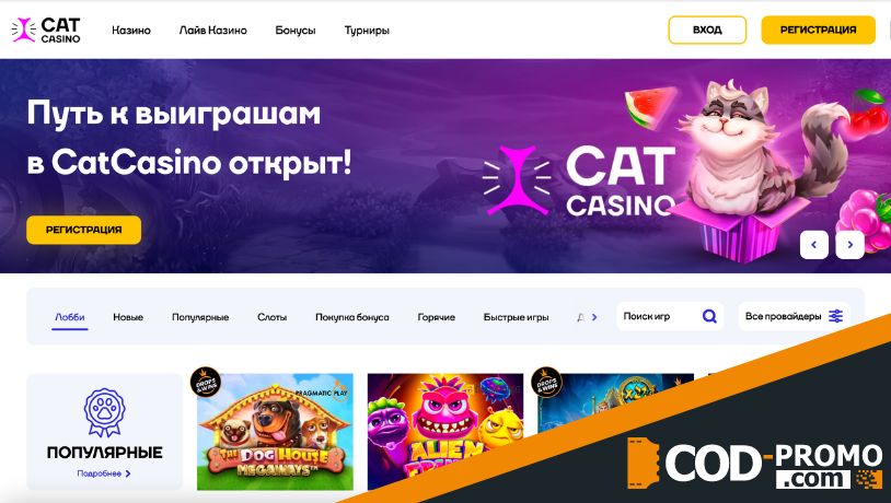 Cat casino официальный сайт