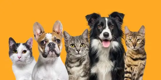 Старая Ферма промокод