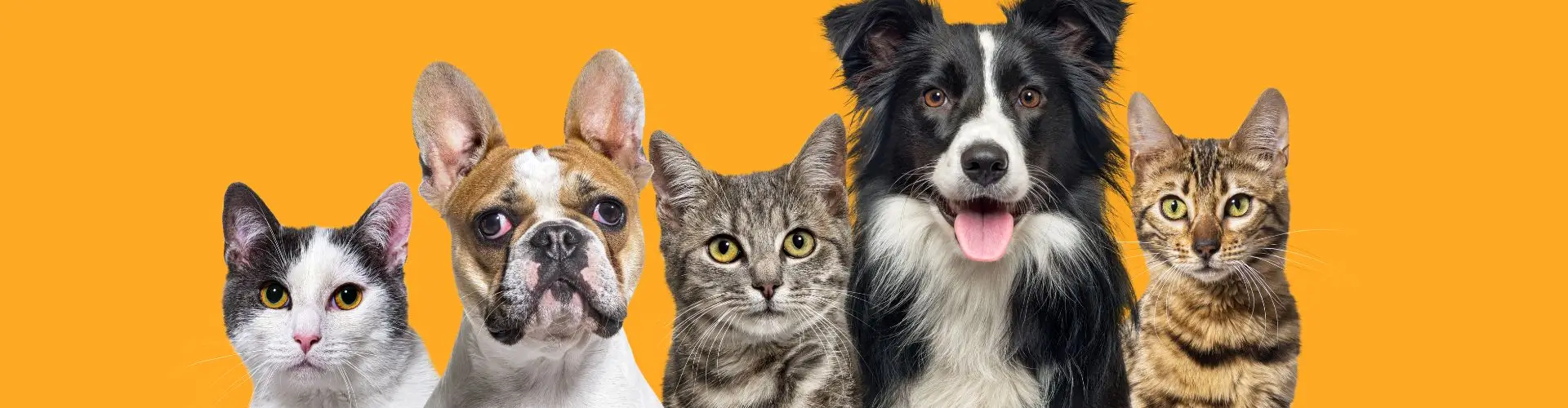 Старая Ферма промокод