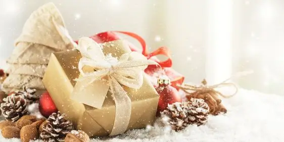 20 незабываемых подарков на Новый Год