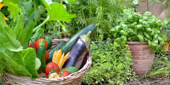 Seedspost промокод