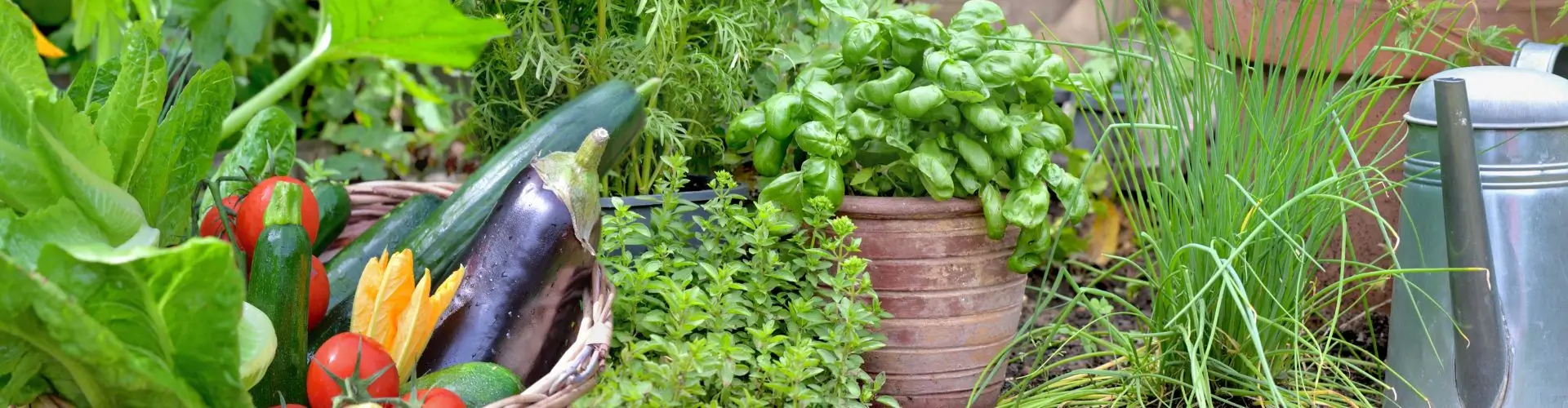 Seedspost промокод