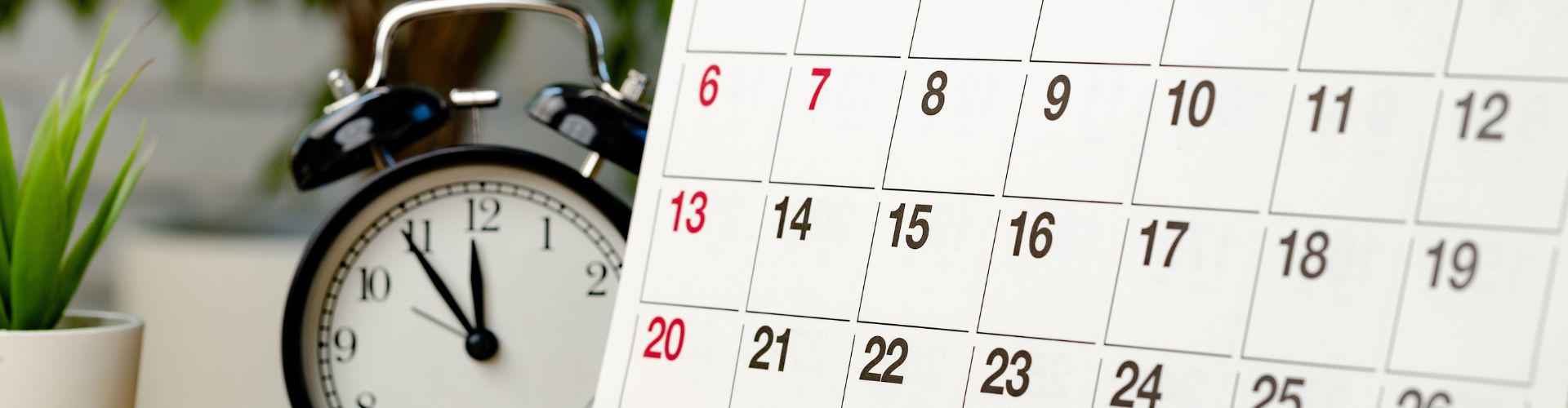 Скидки до 35% на календари в Сималенд