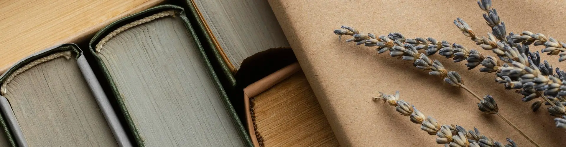 Что почитать в феврале