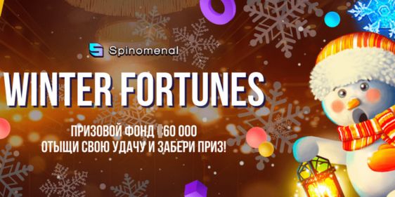Winter Fortunes в Booi casino