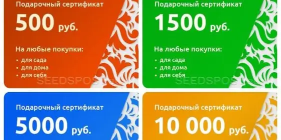 Подарочные сертификаты от Seedspost