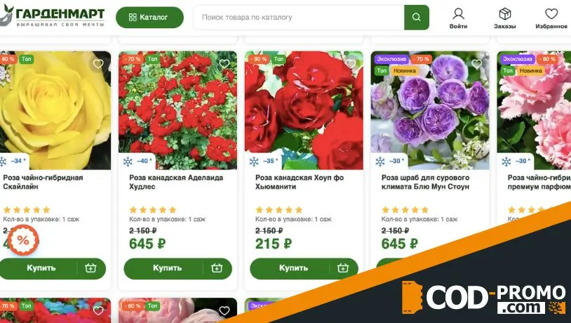 Розы от 280 рублей для осенней посадки от Гарденмарт: важная информация для покупателей