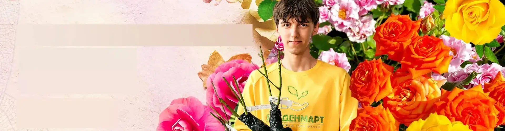 Розы от 280 рублей для осенней посадки от Гарденмарт