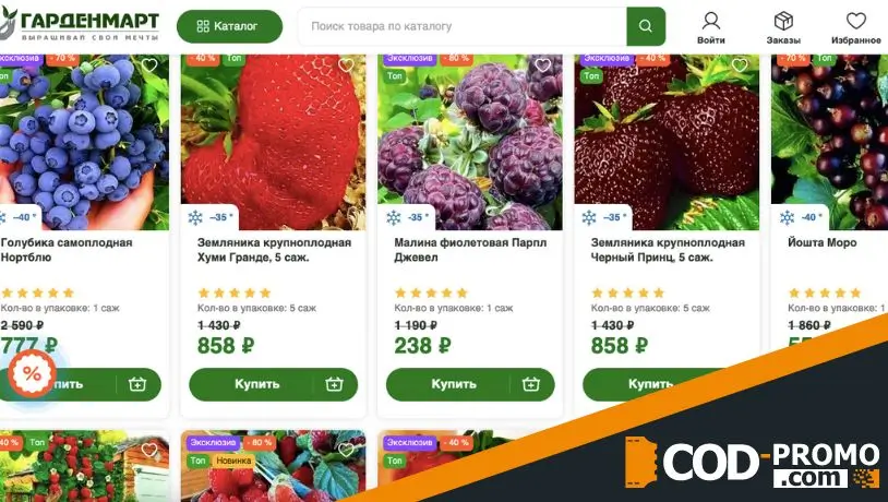 Скидки до 80% на самые сладкие сорта ягод от Гарденмарт: подробности предложения