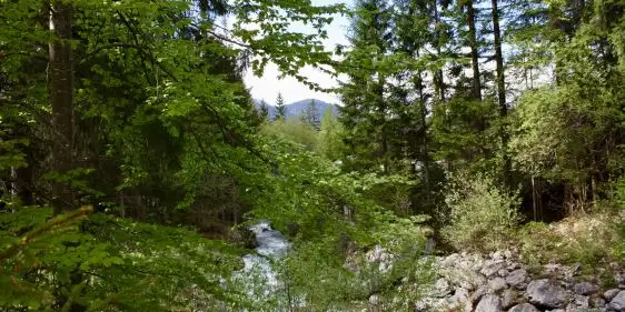 Скидка 15% на продукты торговой марки Just Native от 9монахов