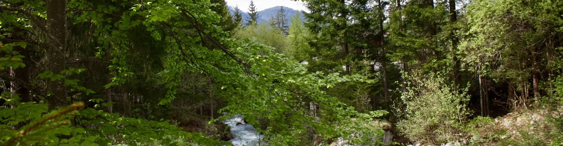 Скидка 15% на продукты торговой марки Just Native от 9монахов