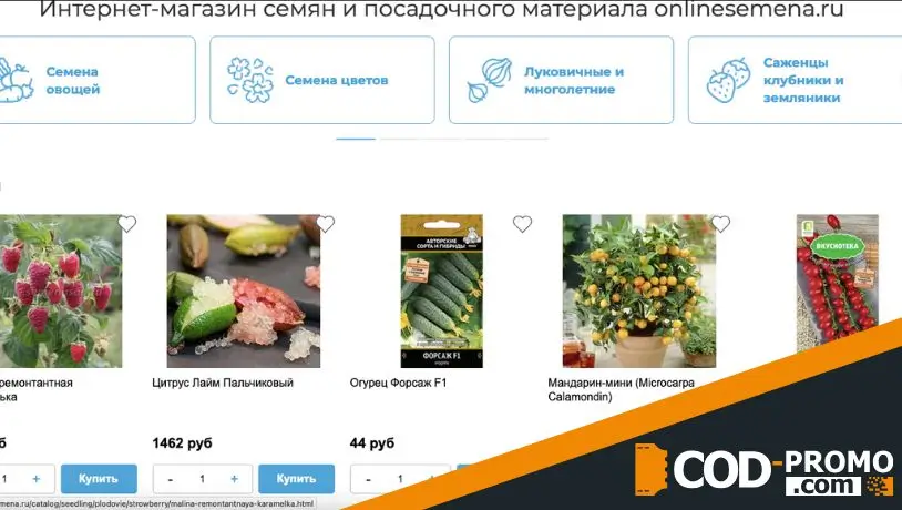 Хиты продаж от маркета Onlinesemena: о чем важно знать