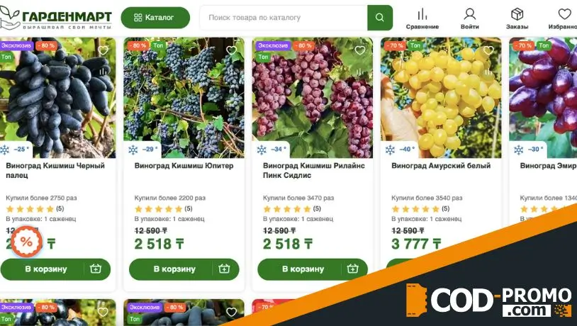 Скидки до 80% на ультраморозостойкий виноград от Гарденмарт: важная информация