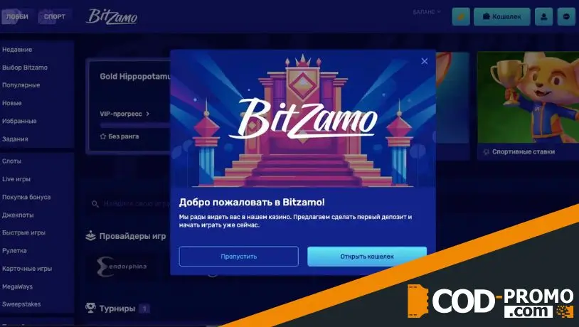 Стоит ли вводить Bitzamo промокод?