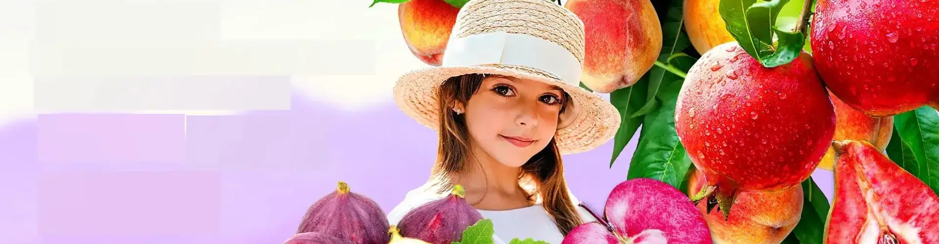 Скидки до 80% на плодовые и колоновидные от Гарденмарт