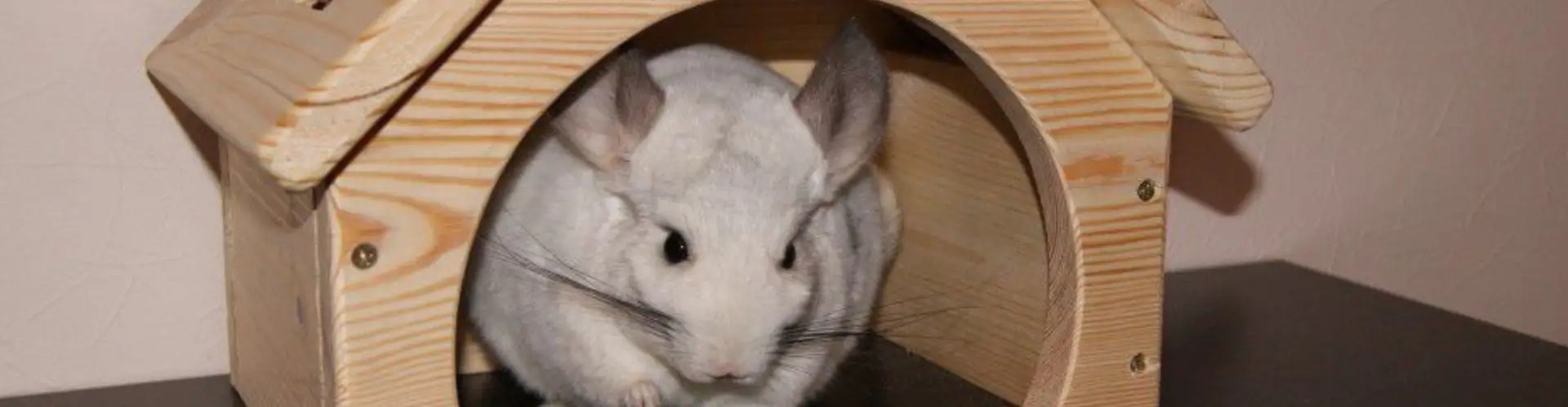 Скидка 50% на деревянные домики в Лемур