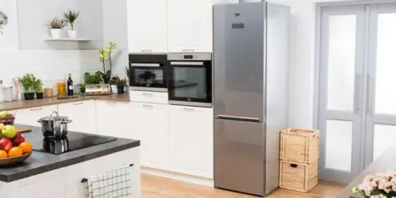 Холодильник Beko в 5 элемент