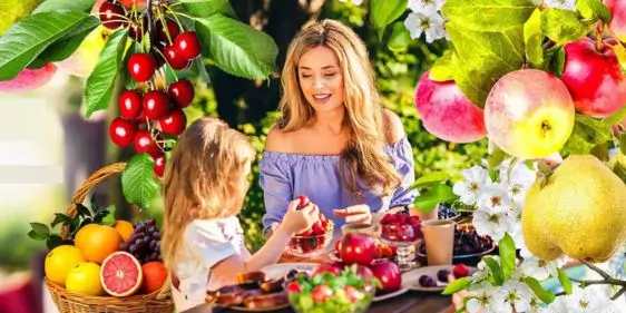 Скидки до 90% на деревья для посадки в июне в Гарденмарт