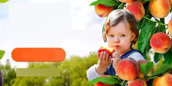 Скидки до 90% на деревья для самостоятельного сада в Гарденмарт