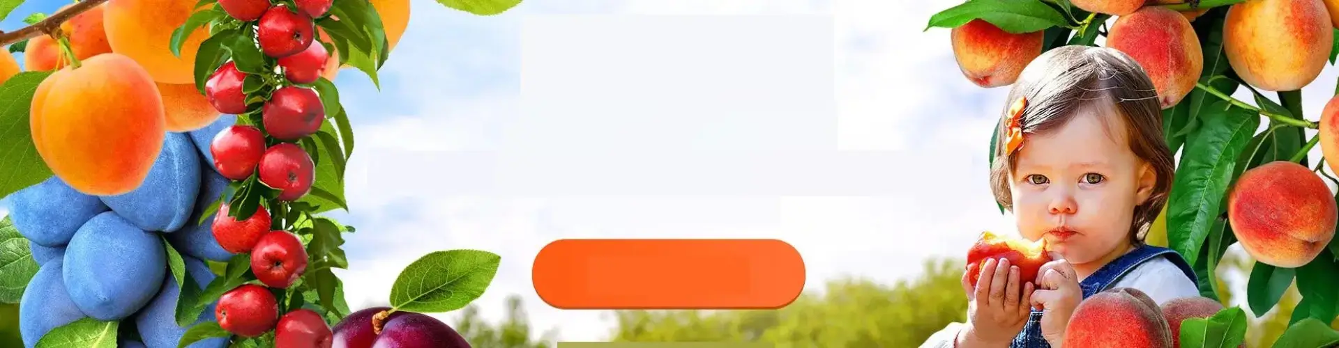 Скидки до 90% на деревья для самостоятельного сада в Гарденмарт