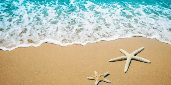 Бонусные мили в Onlinetours