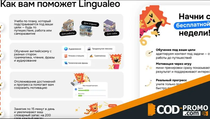 Lingualeo обзор: сайт компании