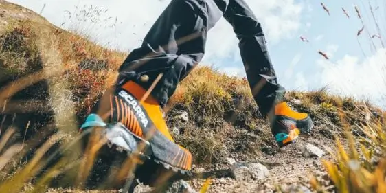 Программа бонусов Tramontana