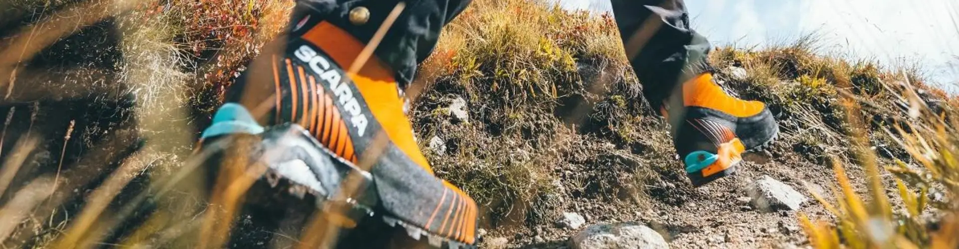 Программа бонусов Tramontana