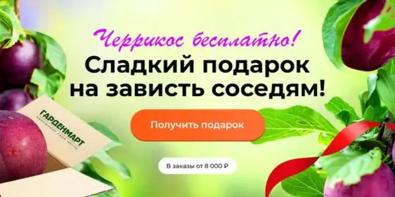 Черрикос в подарок от Гарденмарт