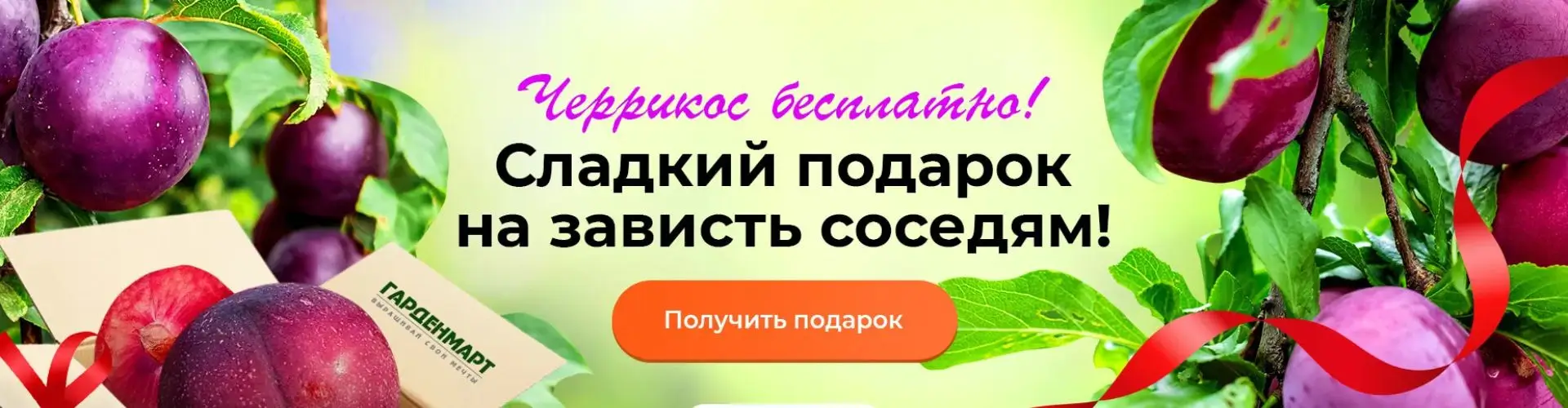 Черрикос в подарок от Гарденмарт