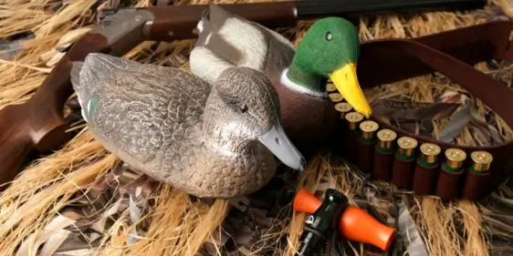Чучела птиц для охоты в магазине Трофей