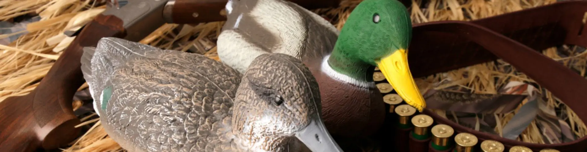 Чучела птиц для охоты в магазине Трофей