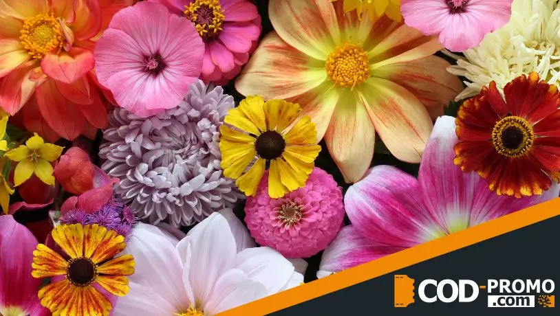 Для чего нужны промокоды на цветы