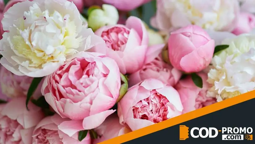 Полезные советы по уходу за цветами