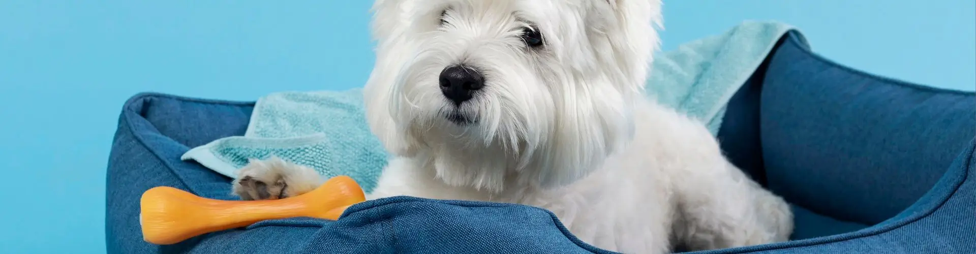 200 баллов за отзыв на товары CLP в Лемур