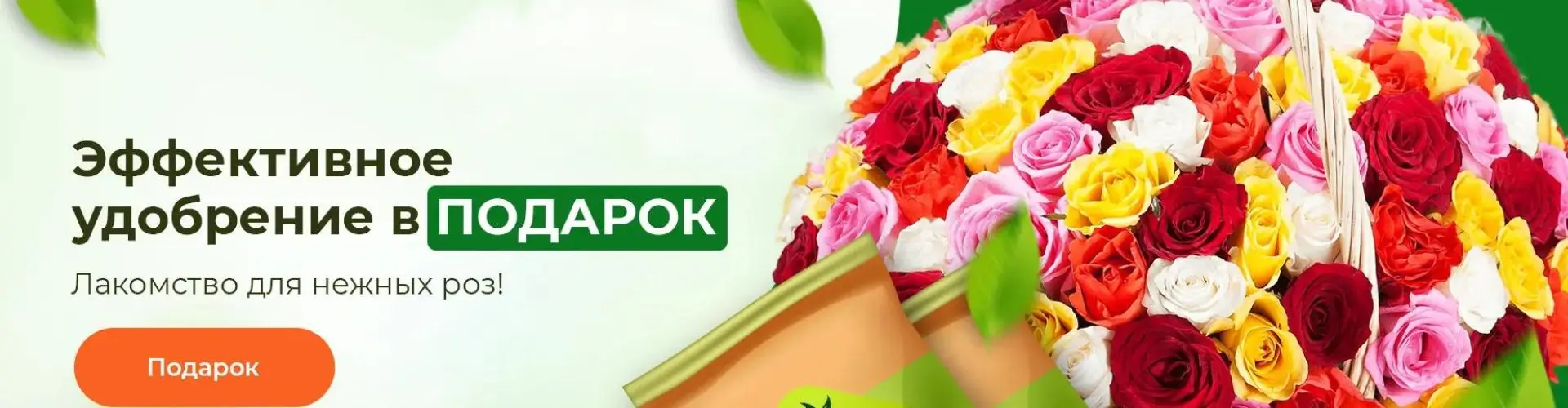 Эффективное удобрение для роз в подарок от Гарденмарт