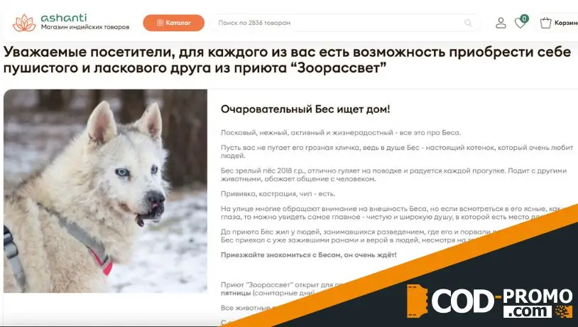 Участие в благотворительности от Ashanti: важная информация