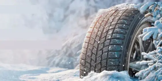 Кешбэк 10% за покупку зимних шин Cordiant от Euro-diski