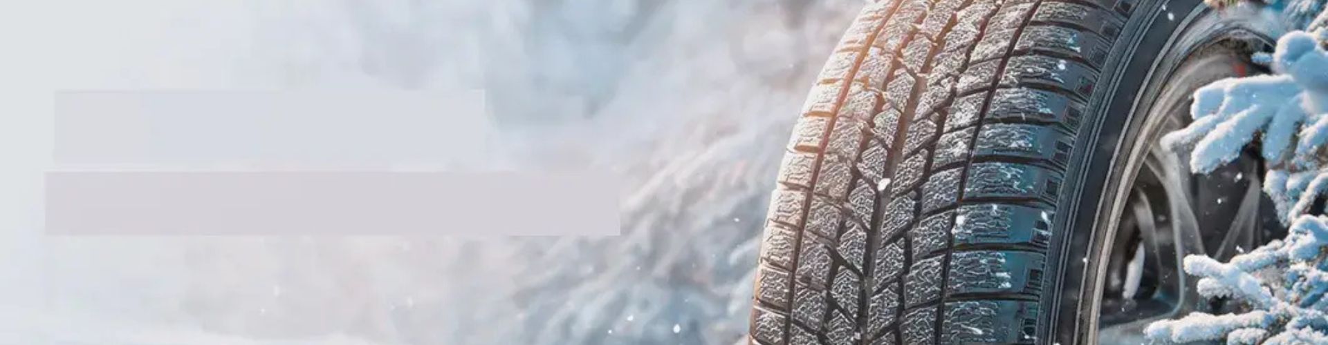 Кешбэк 10% за покупку зимних шин Cordiant от Euro-diski