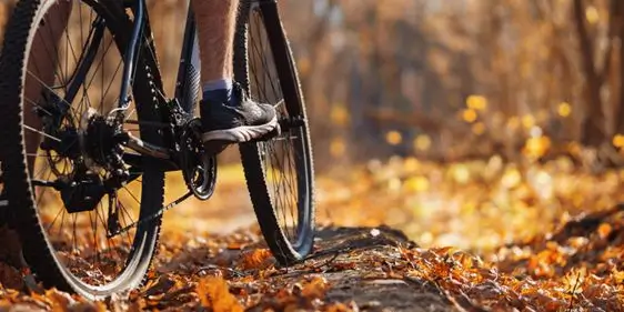 Осенняя распродажа в магазинах Велодрайв