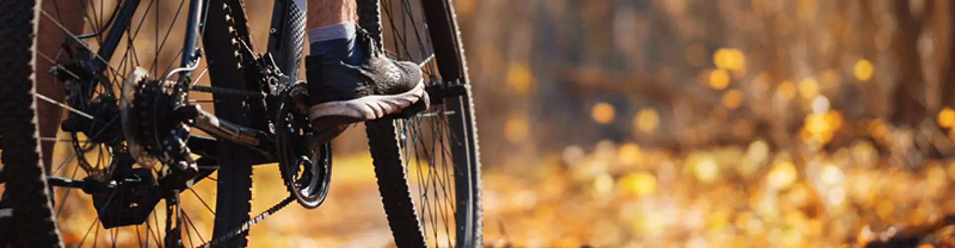 Осенняя распродажа в магазинах Велодрайв