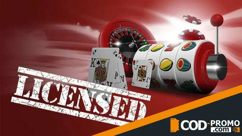 Что такое лицензия и зачем она нужна