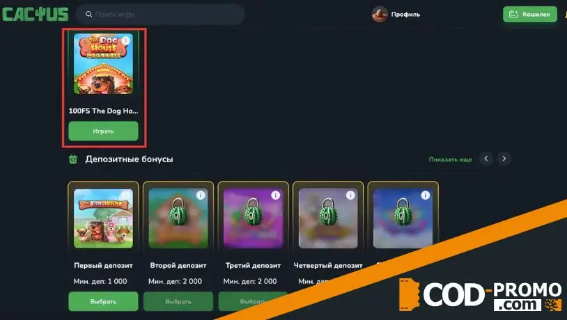 Возможности промокода Cactus Casino CODPRO